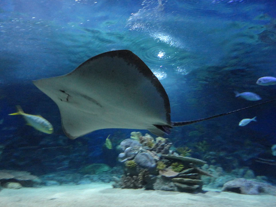 Istanbul Aquarium Florya